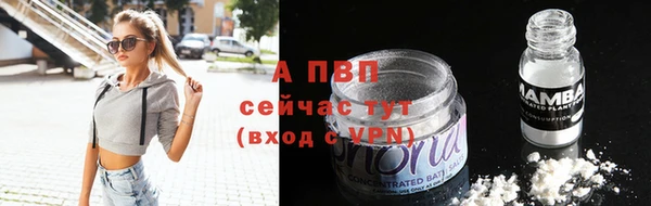 PSILOCYBIN Фурманов