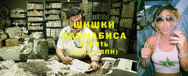 PSILOCYBIN Фурманов