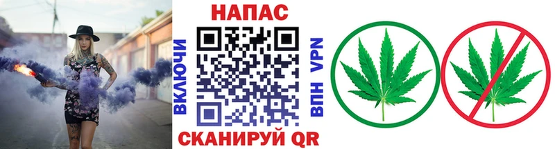 МАРИХУАНА сатива Спас-Клепики